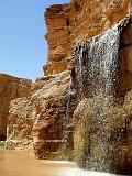 TAMERZA 8